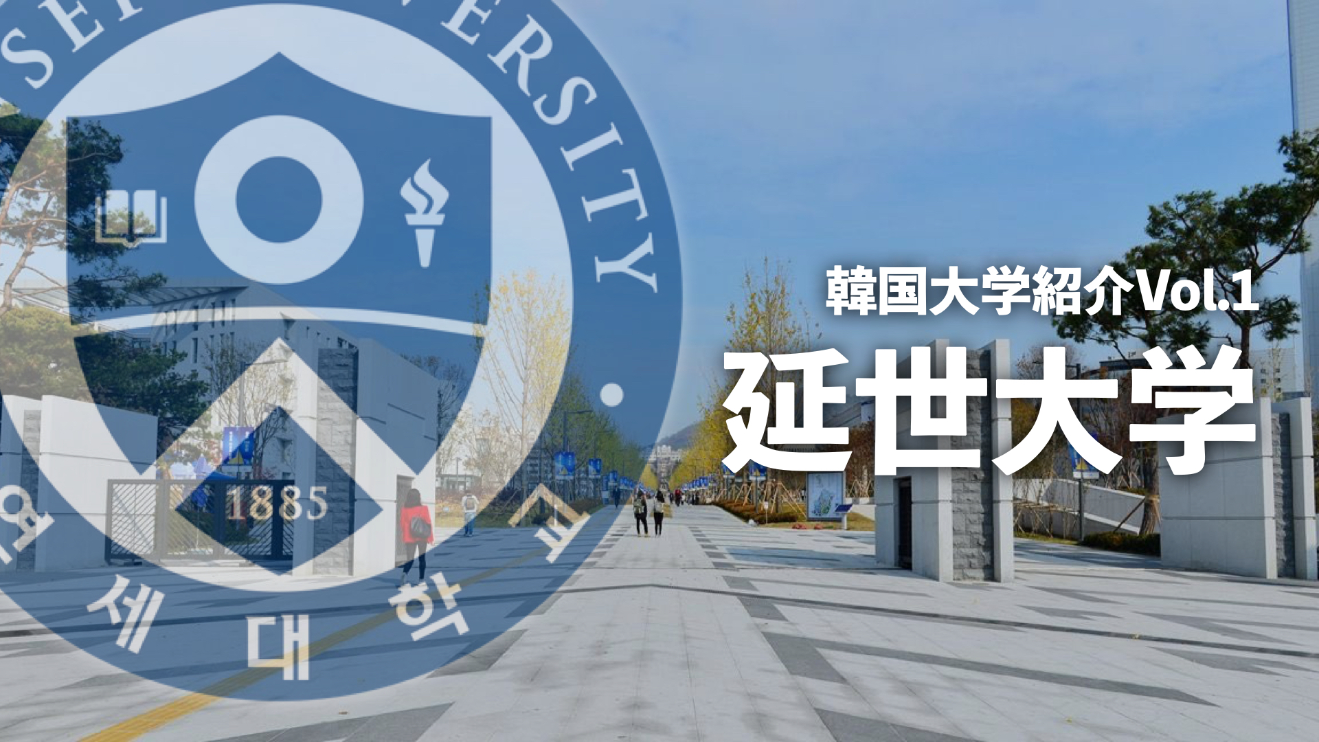 acoo【新品】韓国延世大学　スタジャン　Lサイズ（着画あり） acoo様専用【新品】韓国延世大学 スタジャン Lサイズ（着画あり